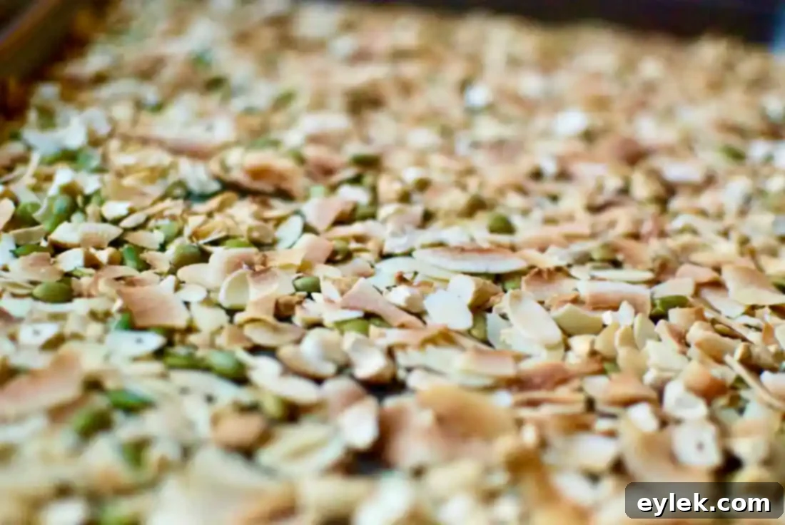 Toasted nuts and coconut flakes on a baking sheet