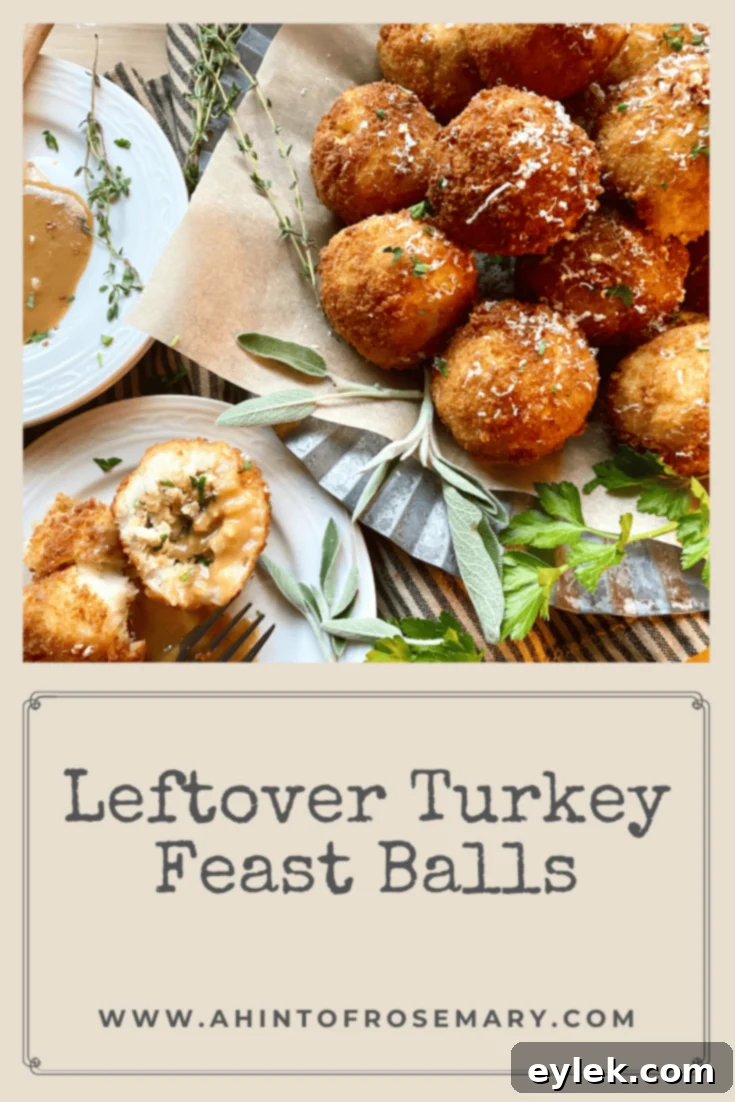 Leftover Turkey Feast Balls