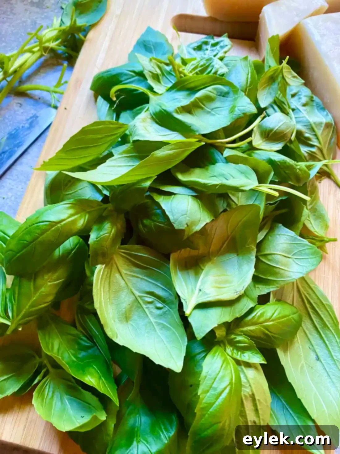 Chopped broccoli rabe and fresh basil leaves in the bowl of a food processor.