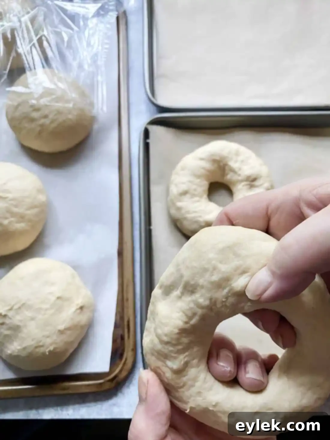 Homemade Steamed Chewy Bagels - Shaped Bagels Before Steam