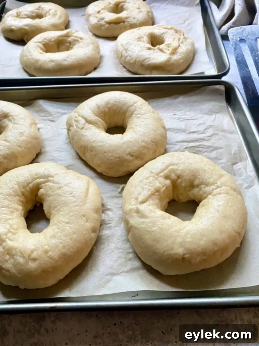 Homemade Steamed Chewy Bagels - Steaming in progress