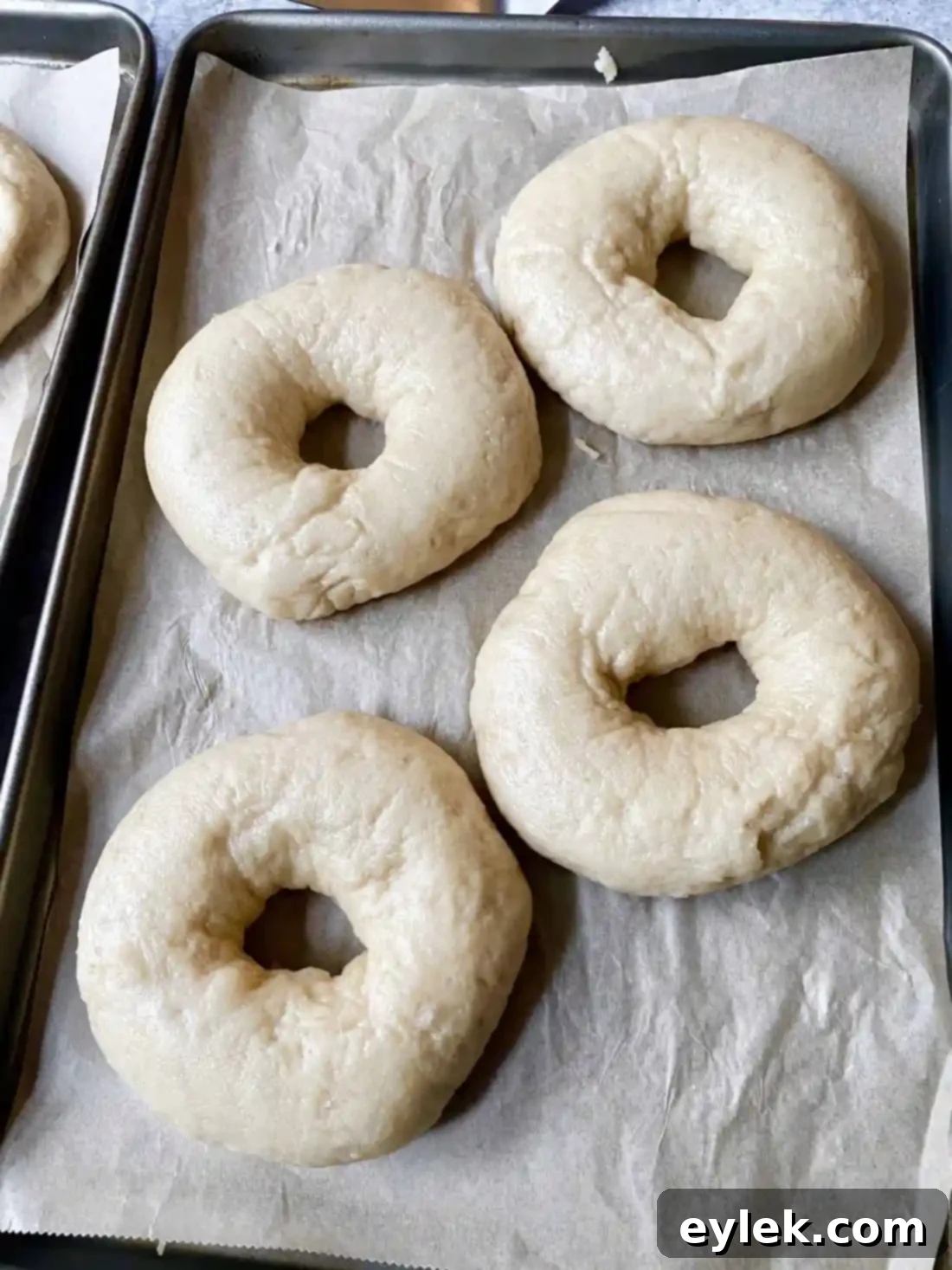 Homemade Steamed Chewy Bagels - Steamed Bagels