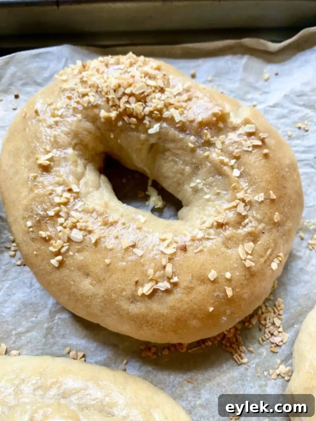 Homemade Steamed Chewy Bagels - Topped Bagels