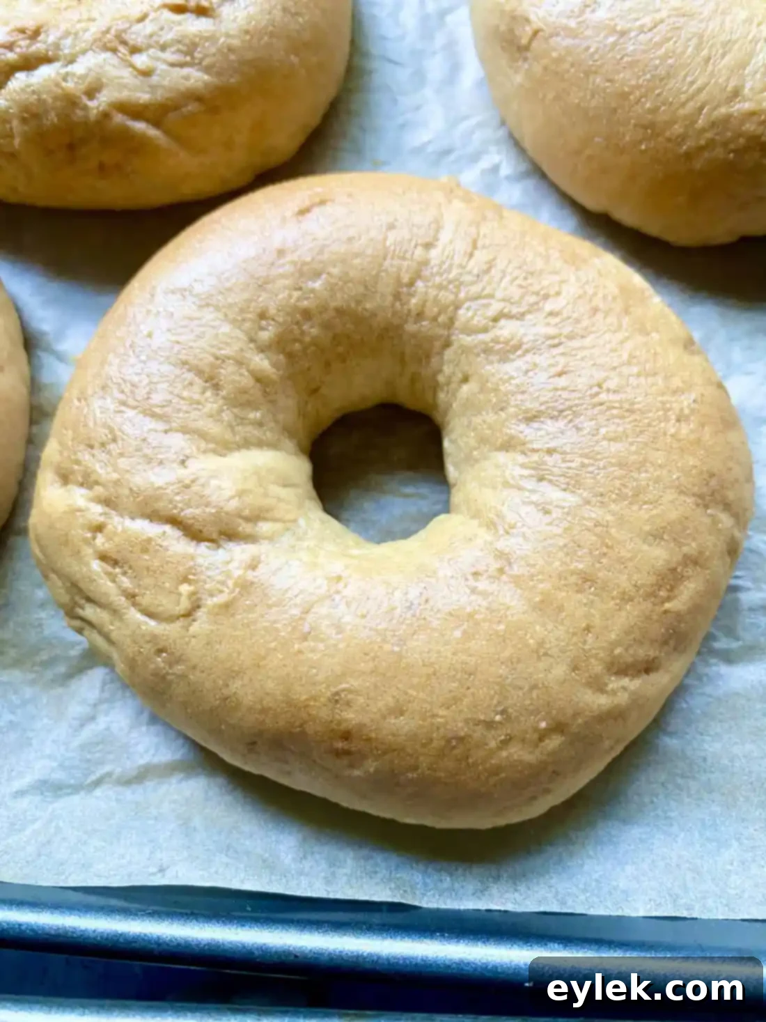 Homemade Steamed Chewy Bagels - Baked Bagels