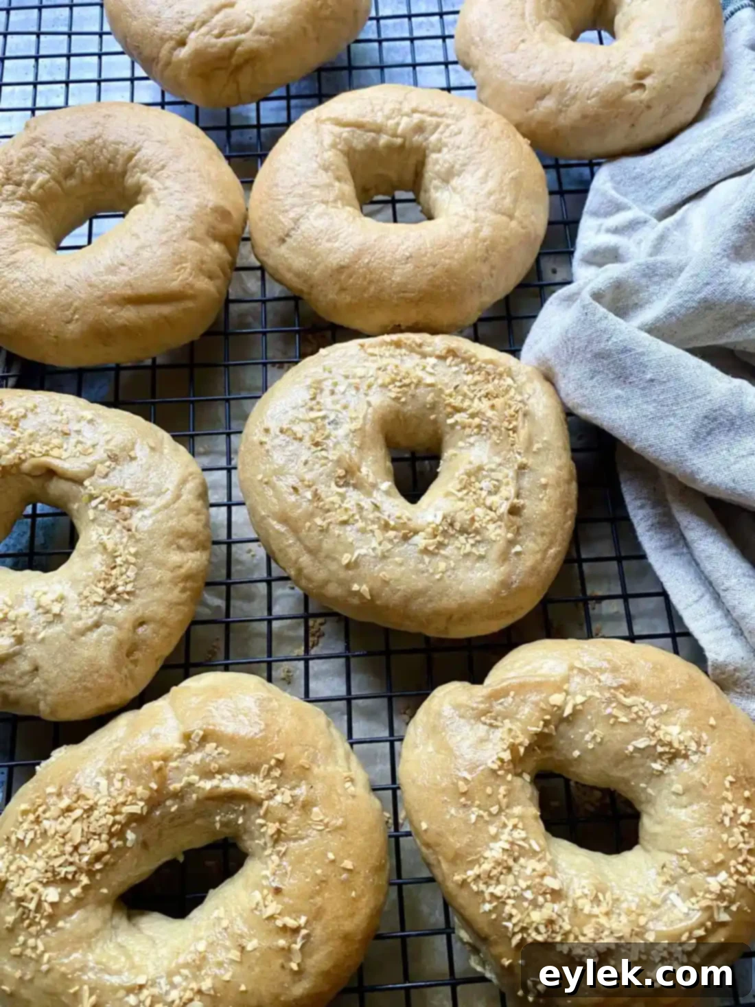 Homemade Steamed Chewy Bagels - Freshly Baked