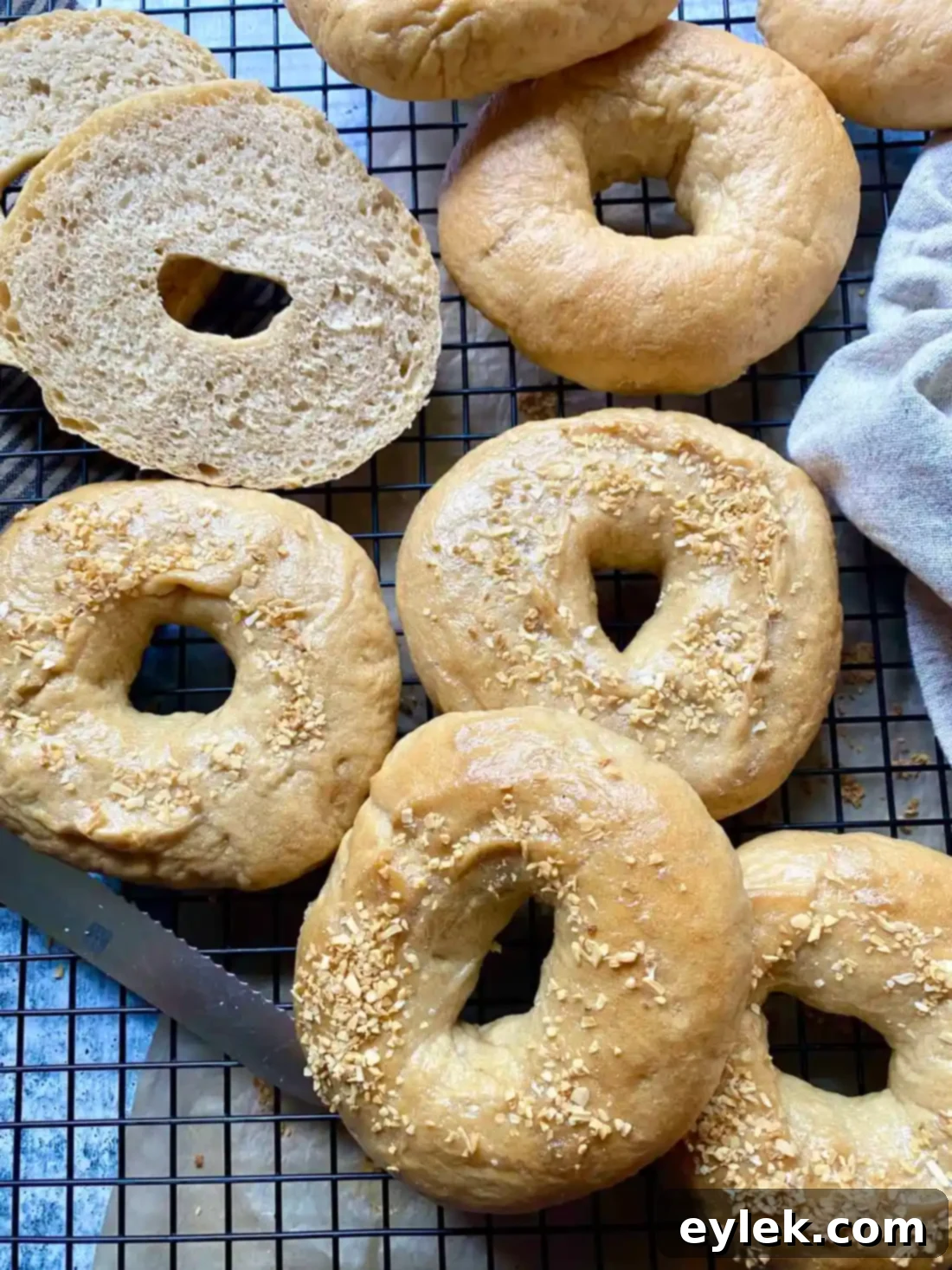 Homemade Steamed Chewy Bagels - Ready to Enjoy