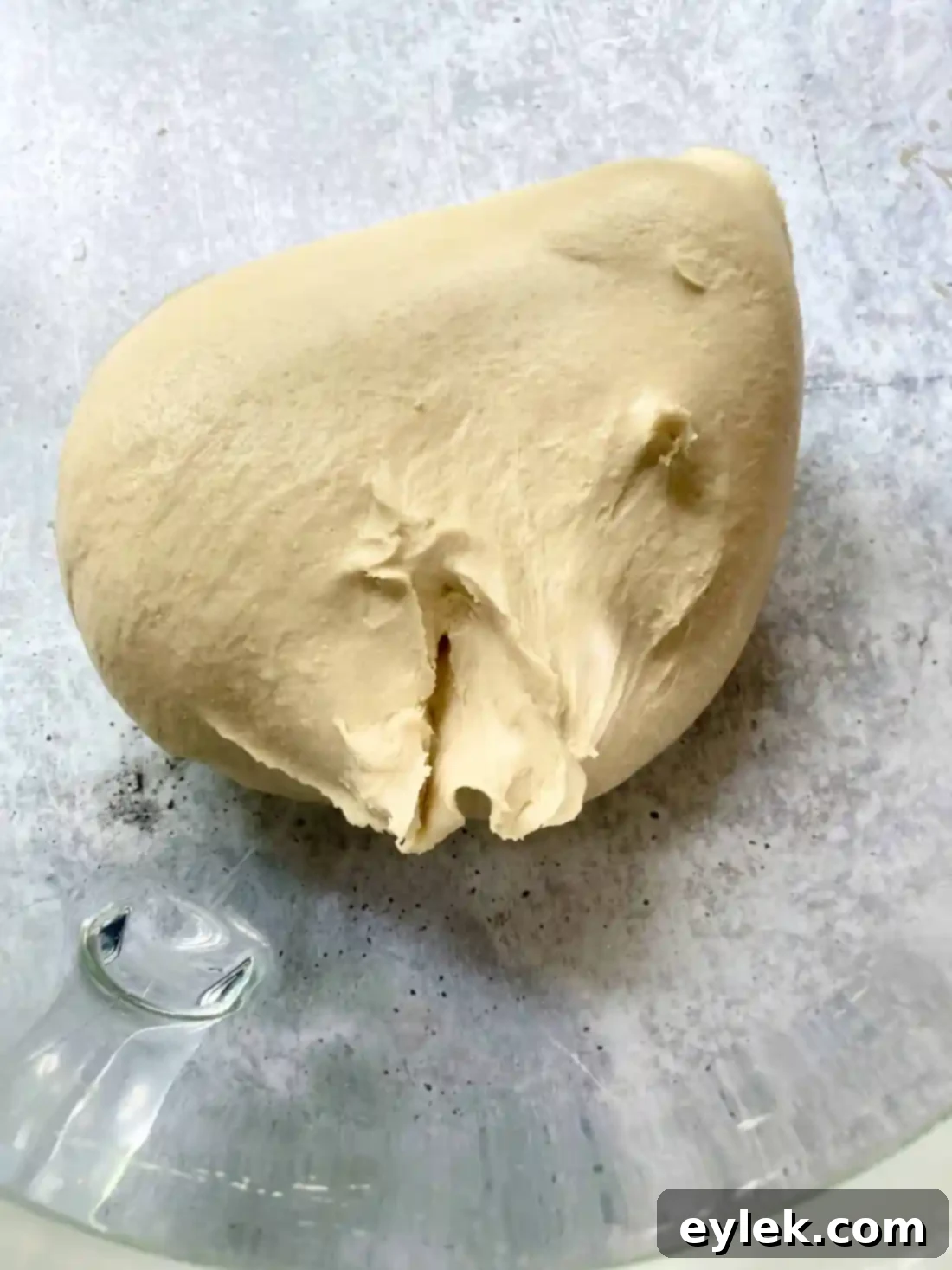 Homemade Steamed Chewy Bagels - Kneaded Dough