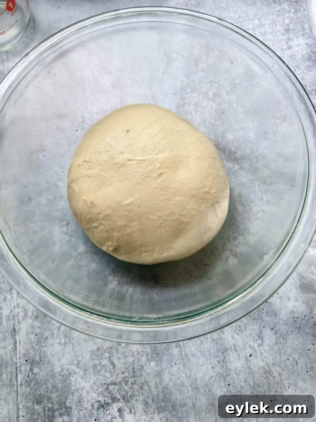 Homemade Steamed Chewy Bagels - Dough Rising