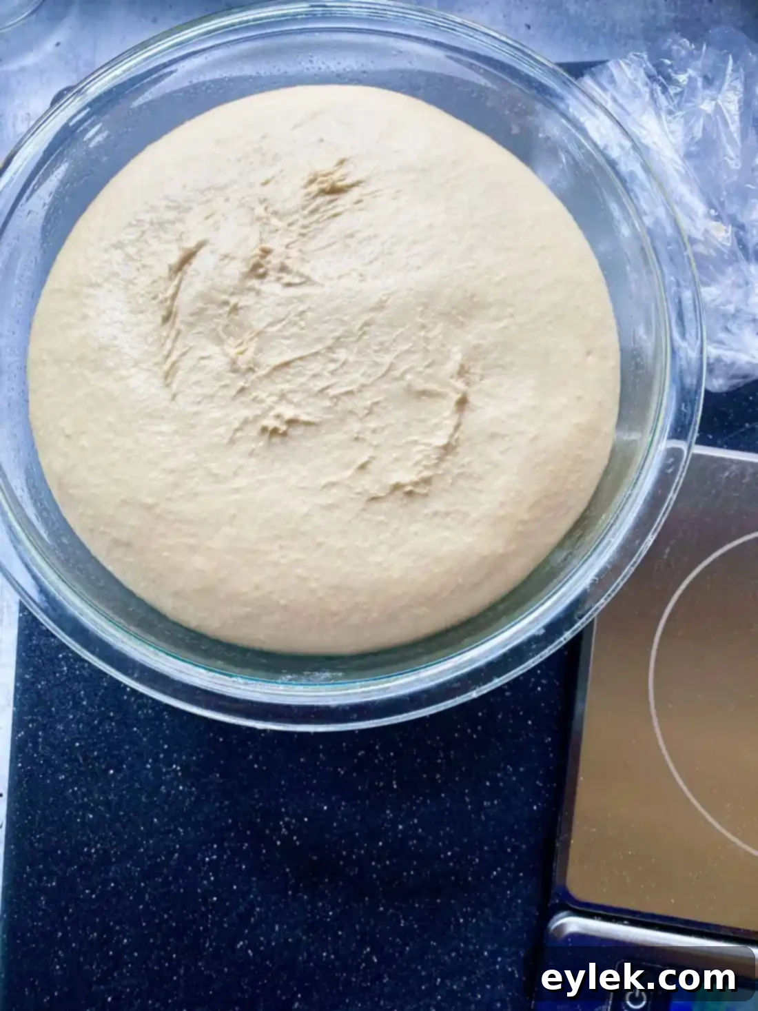 Homemade Steamed Chewy Bagels - Dough After Rise