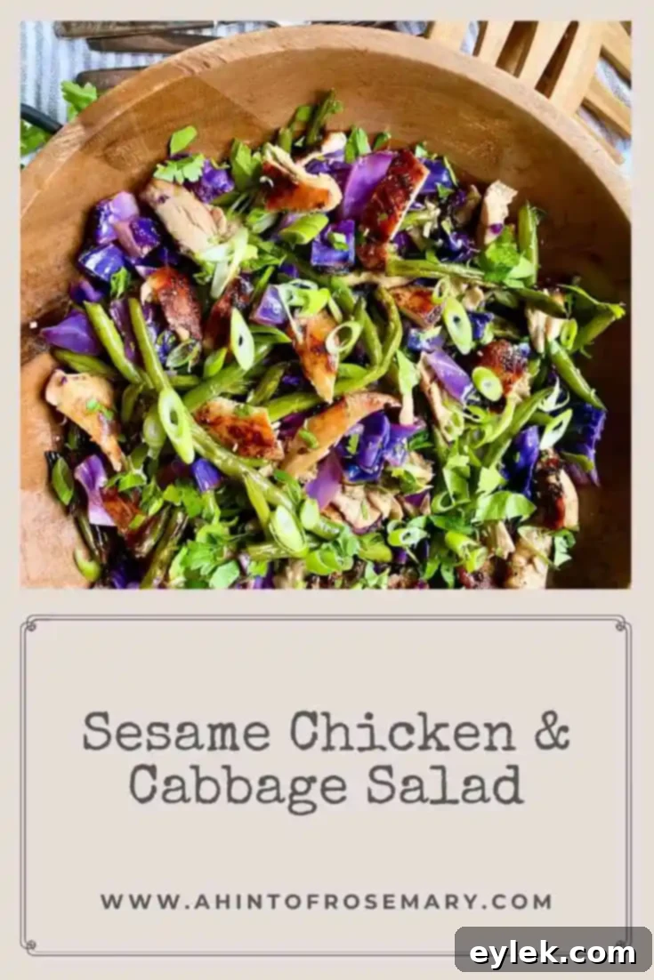 Crispy Sesame Chicken and Cabbage Salad 18 Beautifully presented Sesame Chicken & Cabbage Salad