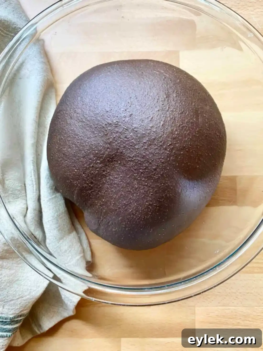 The Soul of Slavic Rye 13 Hearty Russian Black Bread