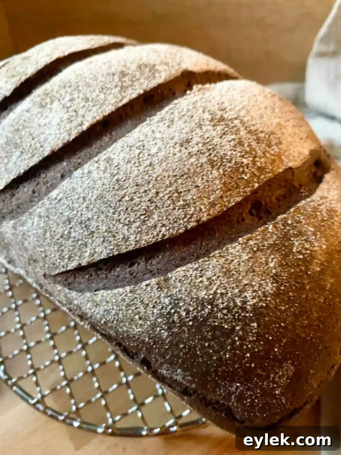 The Soul of Slavic Rye 20 Hearty Russian Black Bread