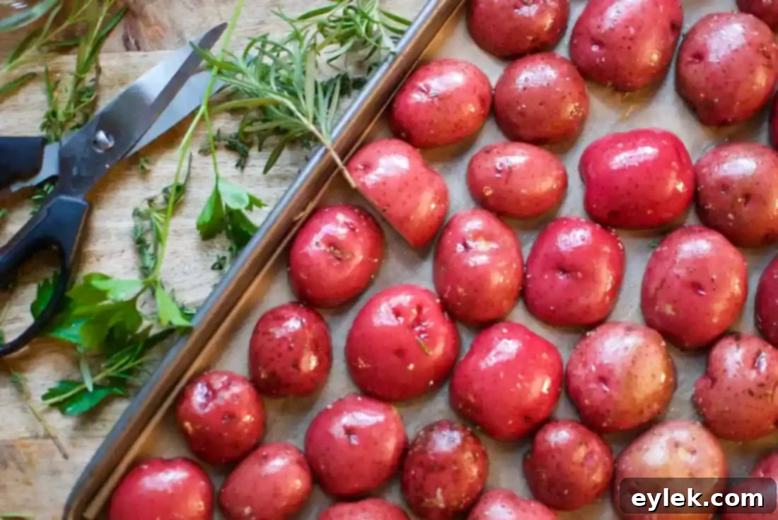 Tray of Dressed-Up Herb Roasted Potatoes fresh from the oven, showing golden-brown bottoms