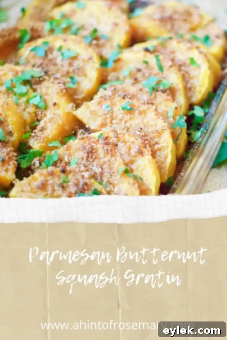Parmesan Butternut Squash Gratin beautifully baked