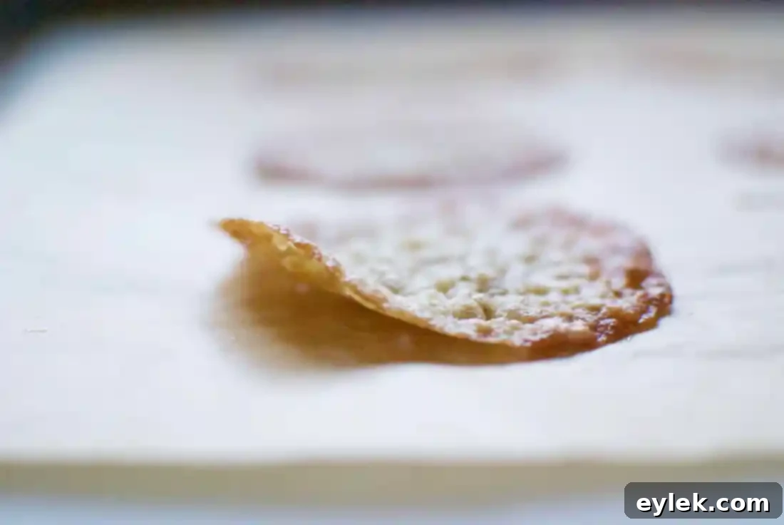 flat chocolate lace cookie