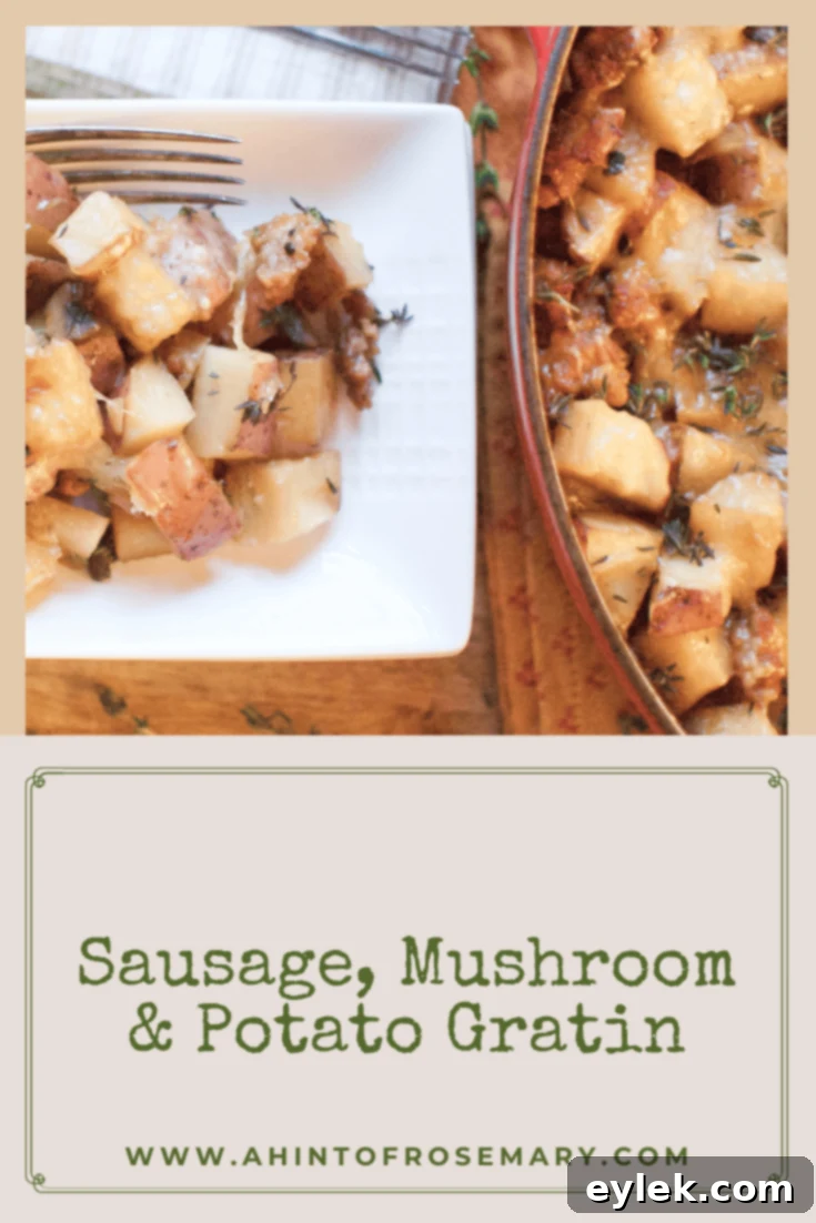 Sausage, Mushroom & Potato Gratin final dish