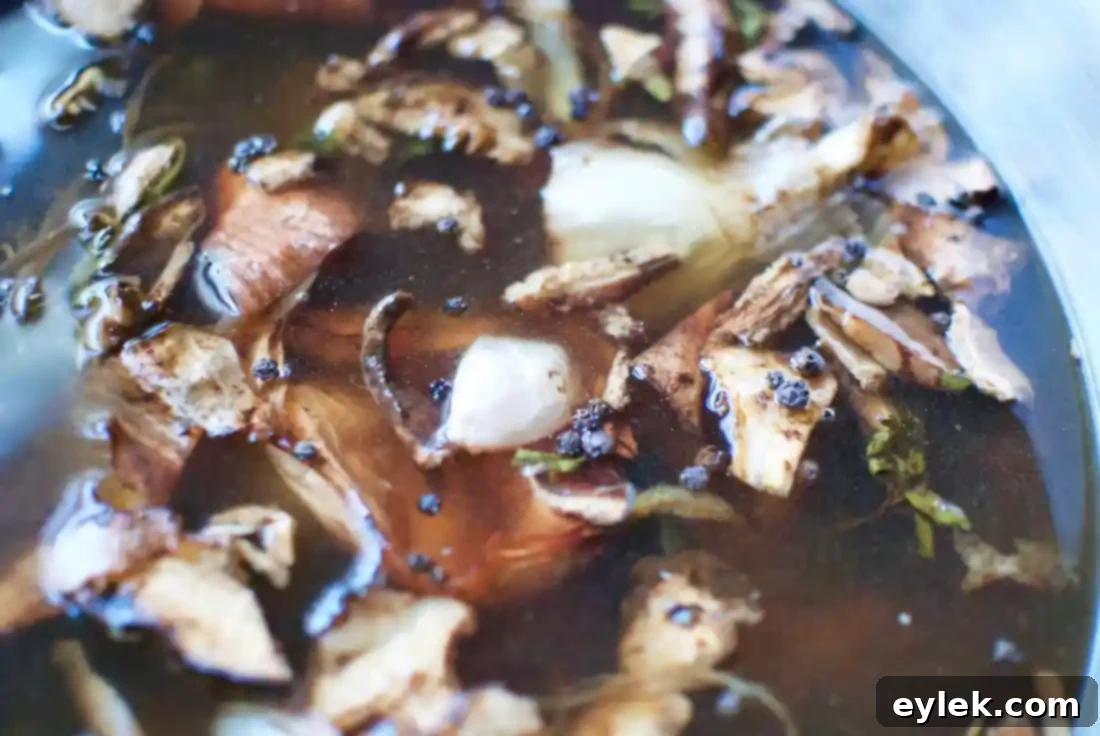 Simmering umami broth