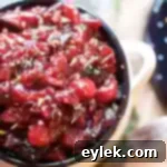 Zesty Ginger Cranberry Fig Chutney 13 gingered cranberry fig chutney