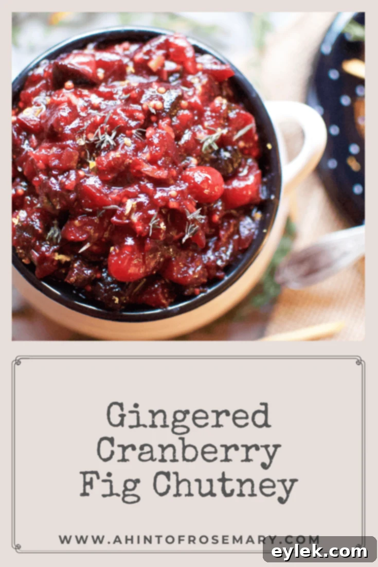 Gingered Cranberry Fig Chutney