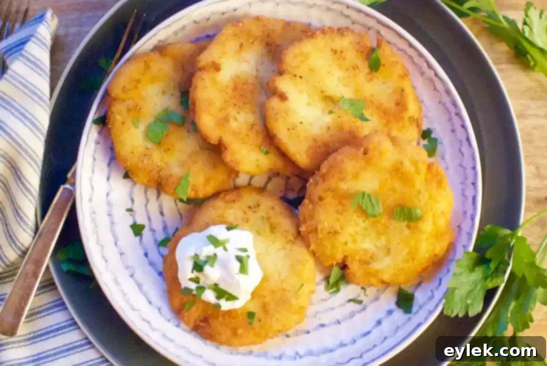 Potato pancakes topped with sour cream, cheese, and crumbled bacon, ready to be enjoyed.