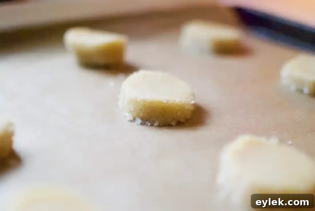 dorie greenspan's vanilla bean sable cookies