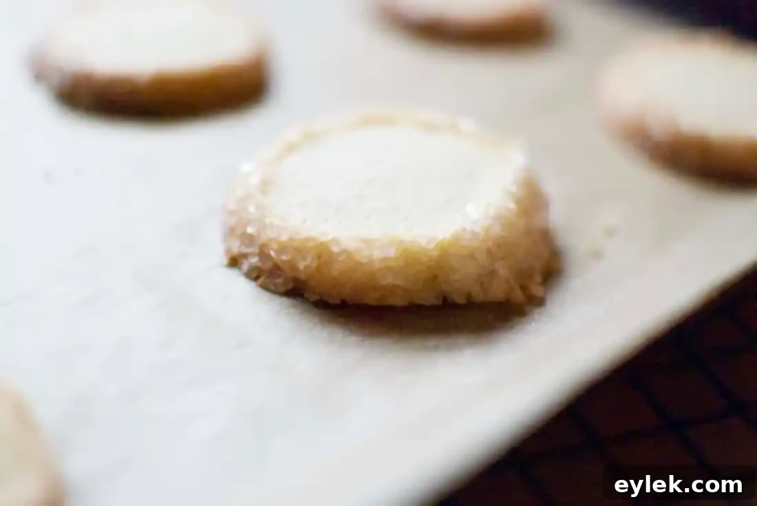 dorie greenspan's vanilla bean sable cookies