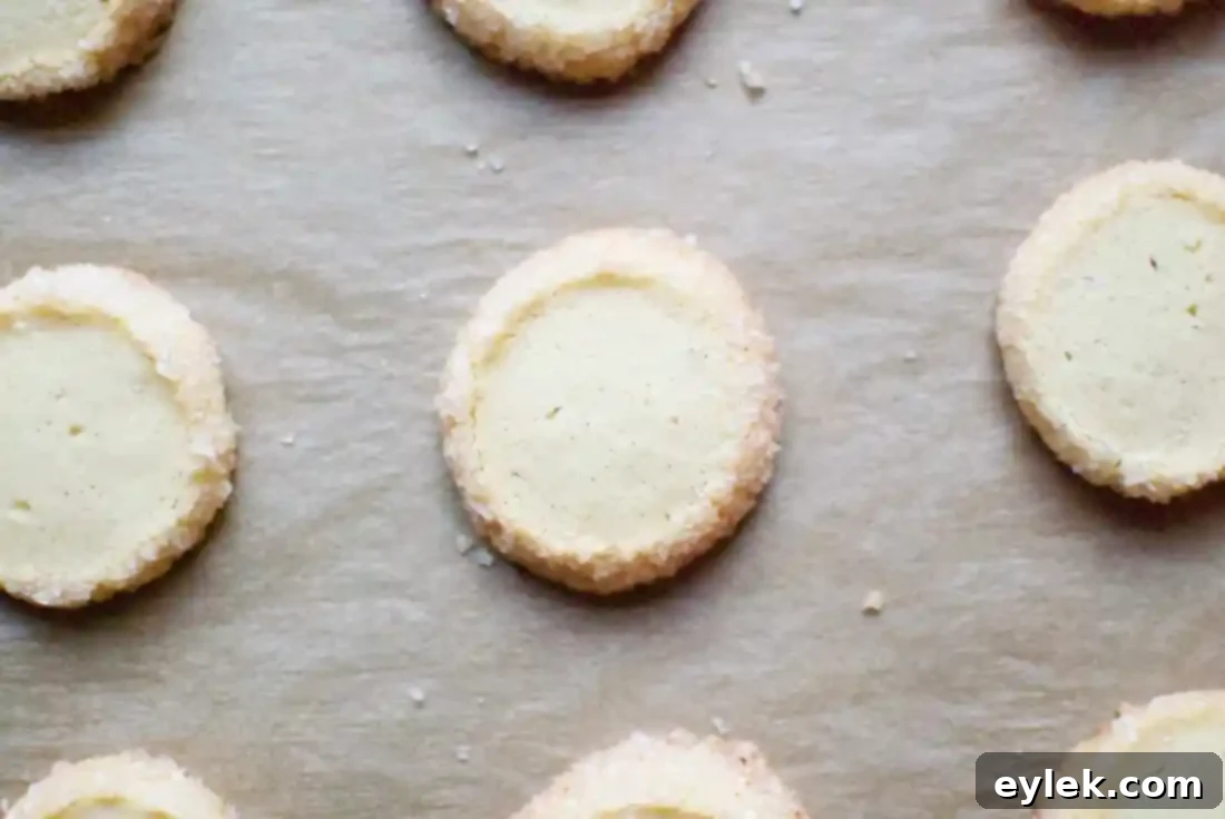 dorie greenspan's vanilla bean sable cookies