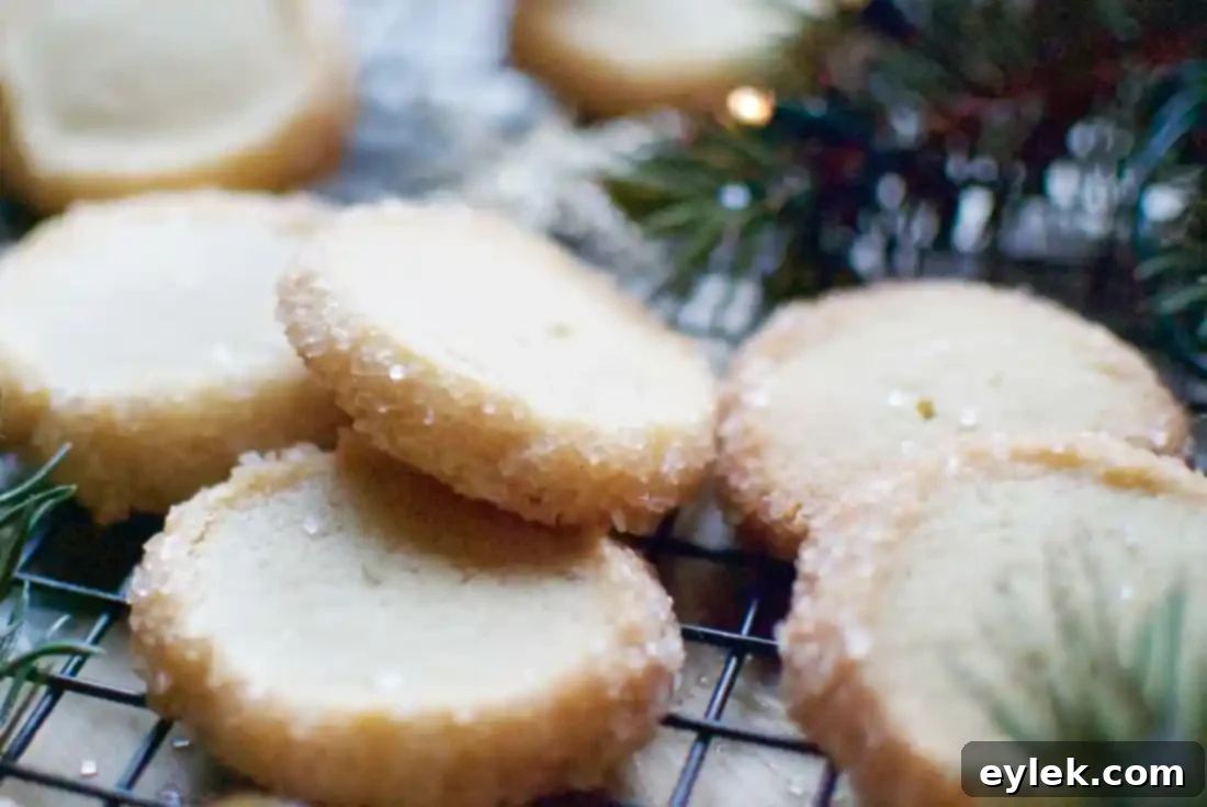 dorie greenspan's vanilla bean sable cookies