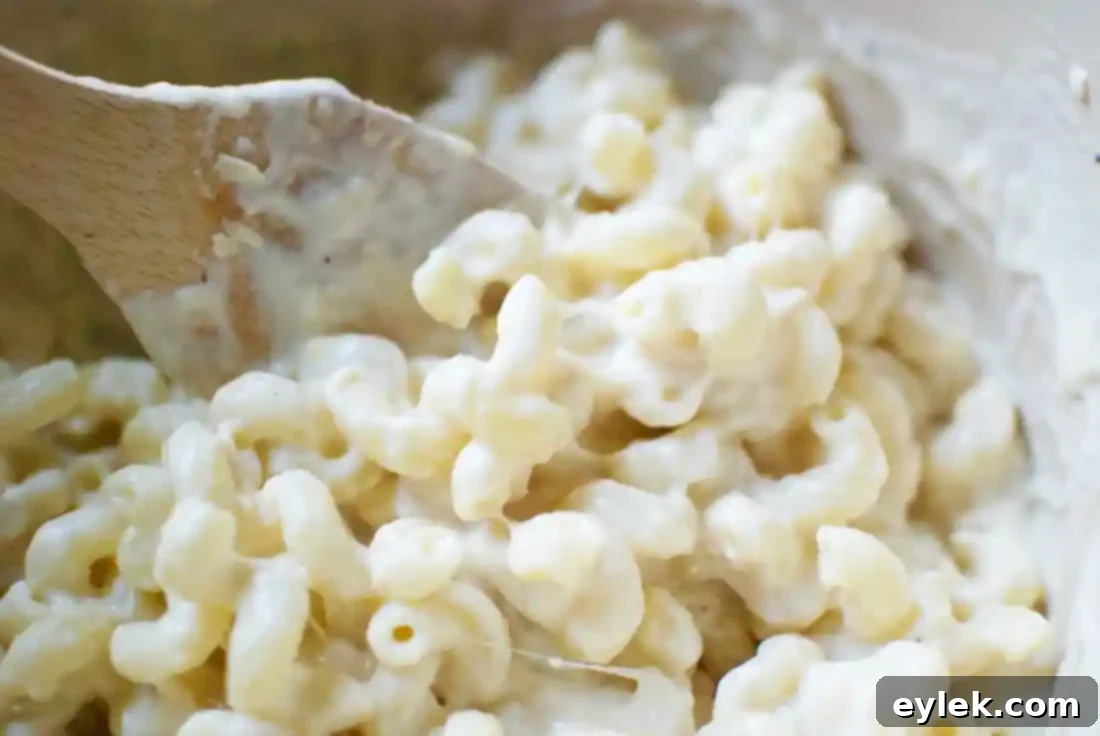 Baked Cavatappi & Three Cheeses ready to bake