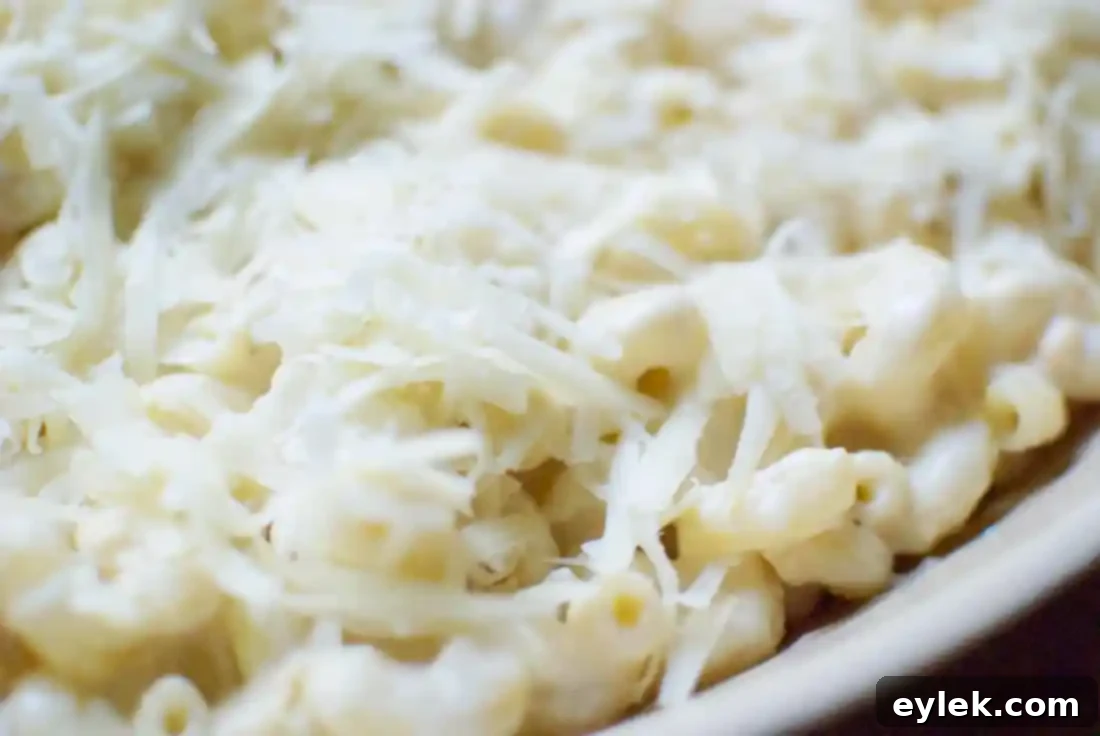 baked cavatappi & three cheeses after baking