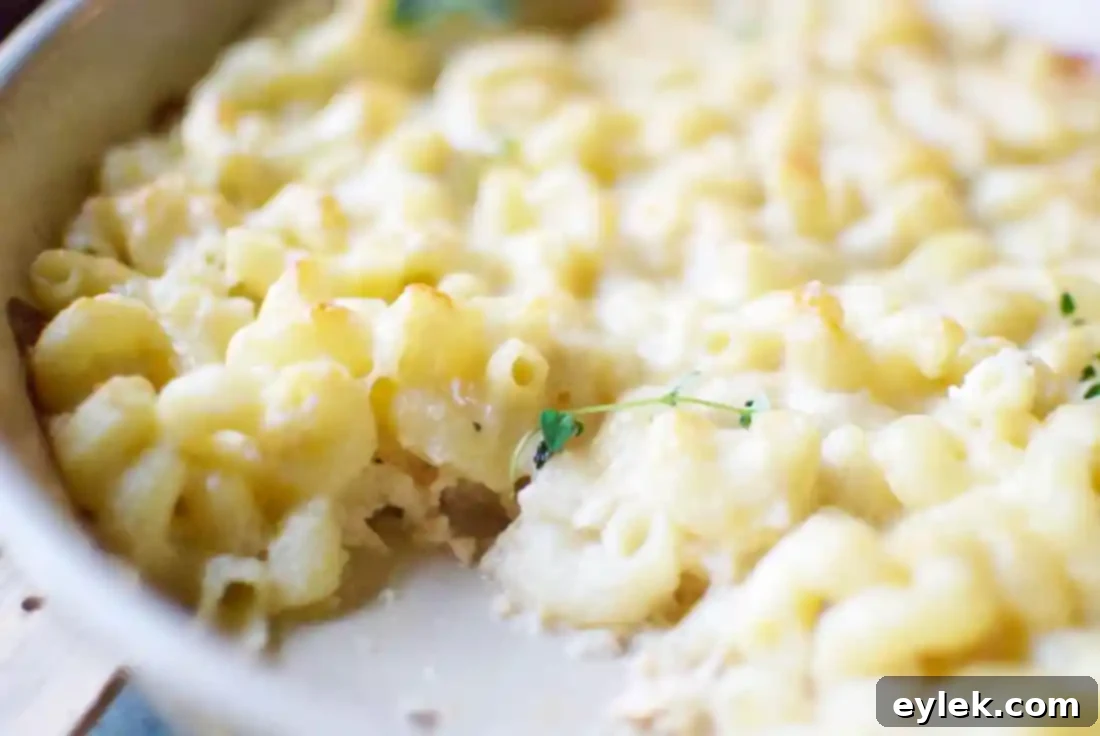 Baked Cavatappi & Three Cheeses with herbs
