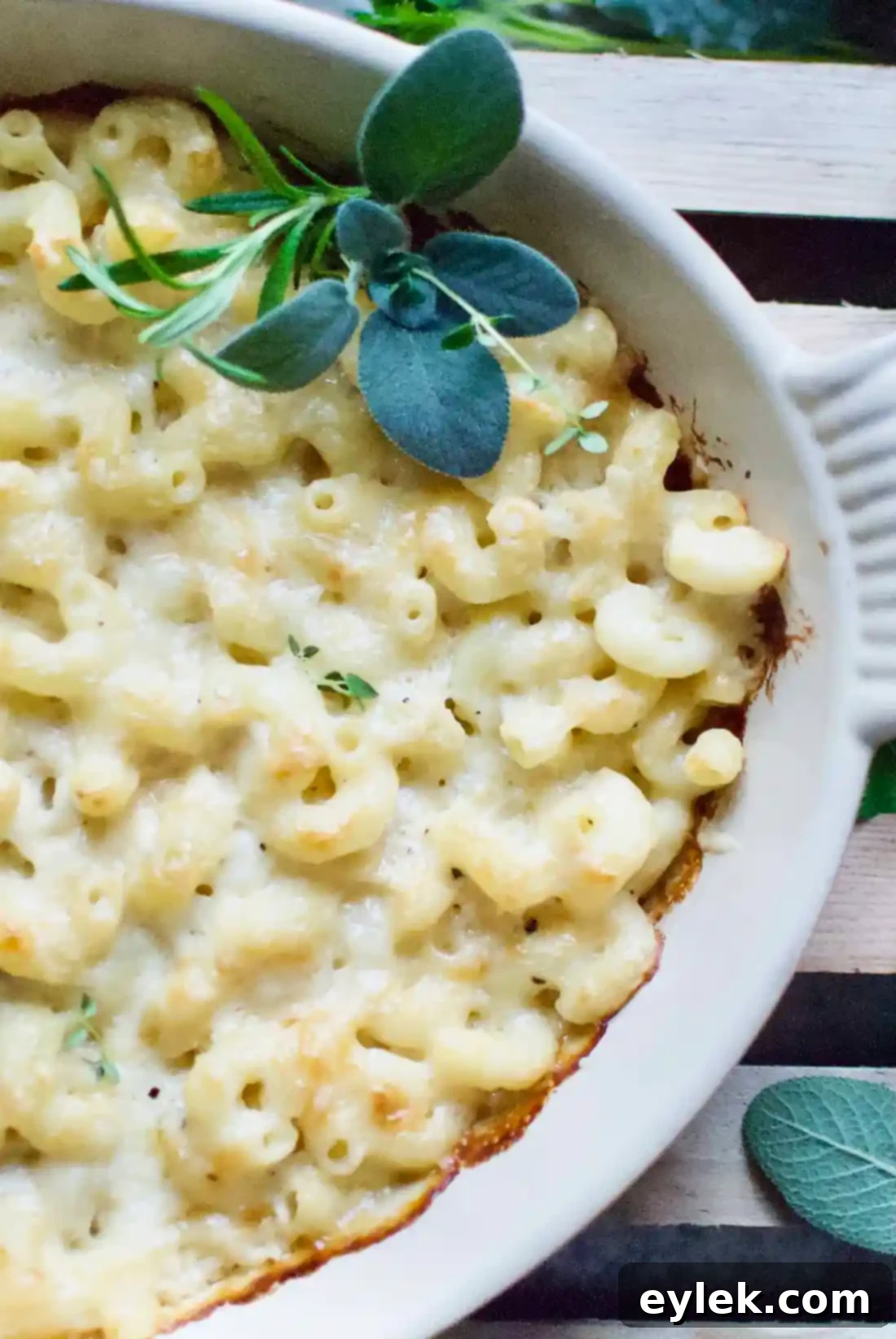Baked Cavatappi & Three Cheeses - Vertical shot