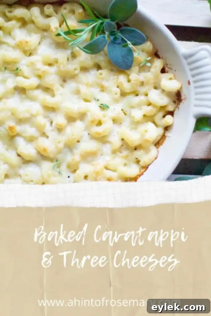 Baked Cavatappi & Three Cheeses - full dish