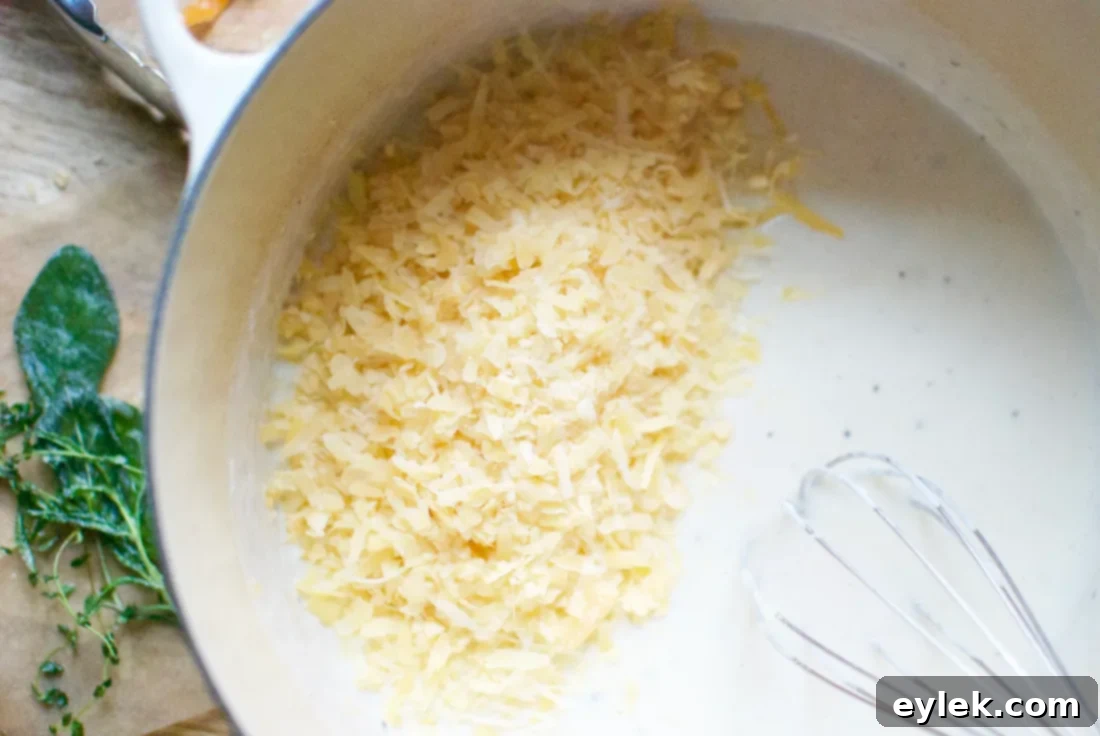 stirring pasta and cheese sauce