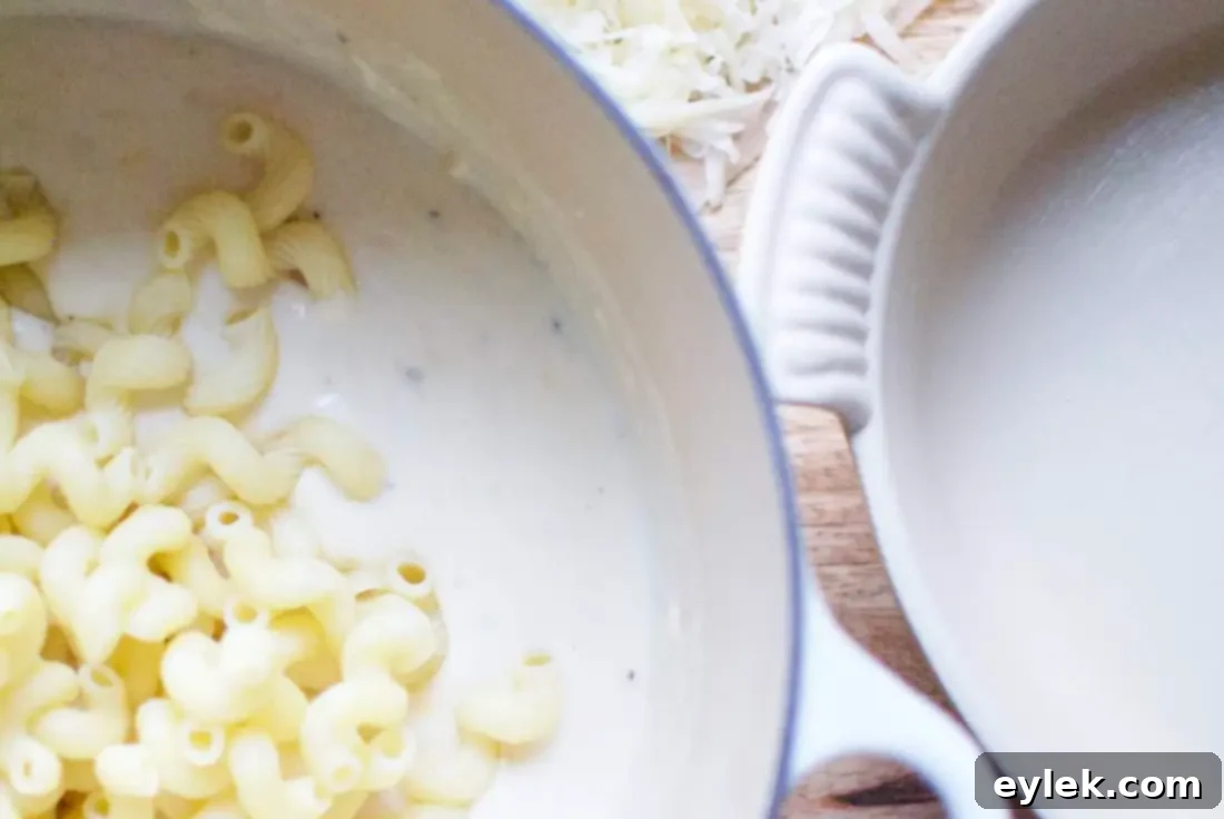 cavatappi in baking dish before oven