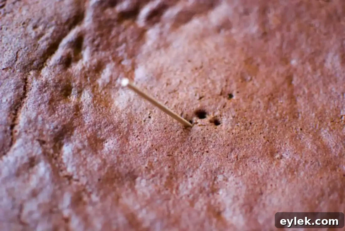 Freshly baked Chocolate Gingerbread Cake cooling in a cast-iron skillet