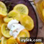 Orange Kissed Chocolate Gingerbread Cake 21 chocolate gingerbread cake with simmered oranges