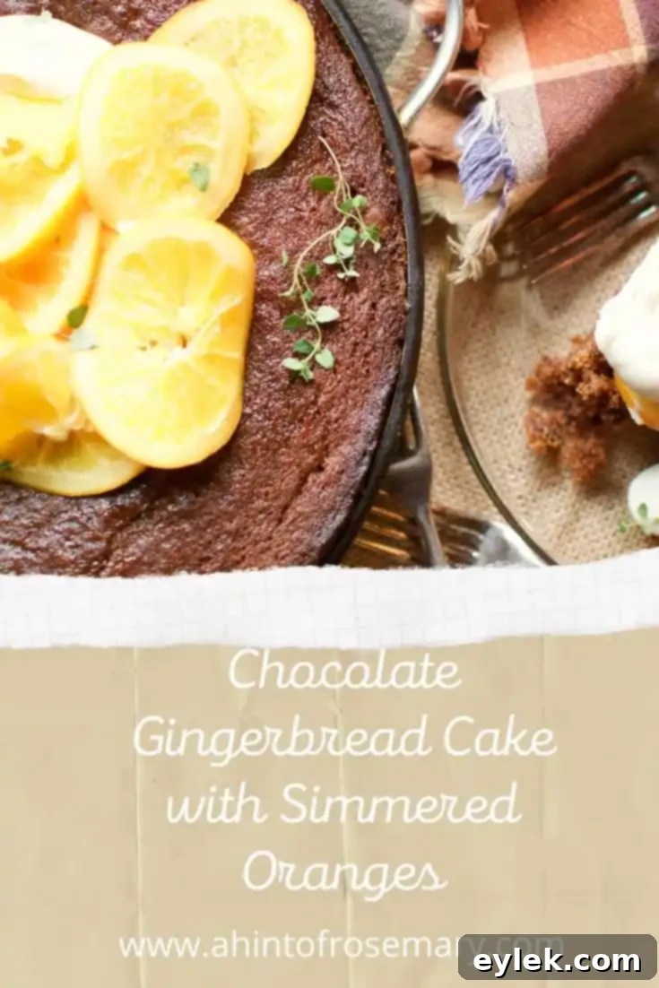 Beautifully garnished Chocolate Gingerbread Cake with Simmered Oranges, viewed from above