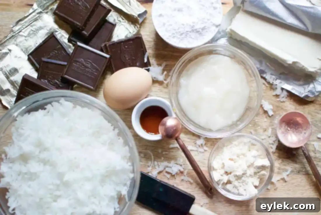 elsa's chocolate dipped macaroons ingredients