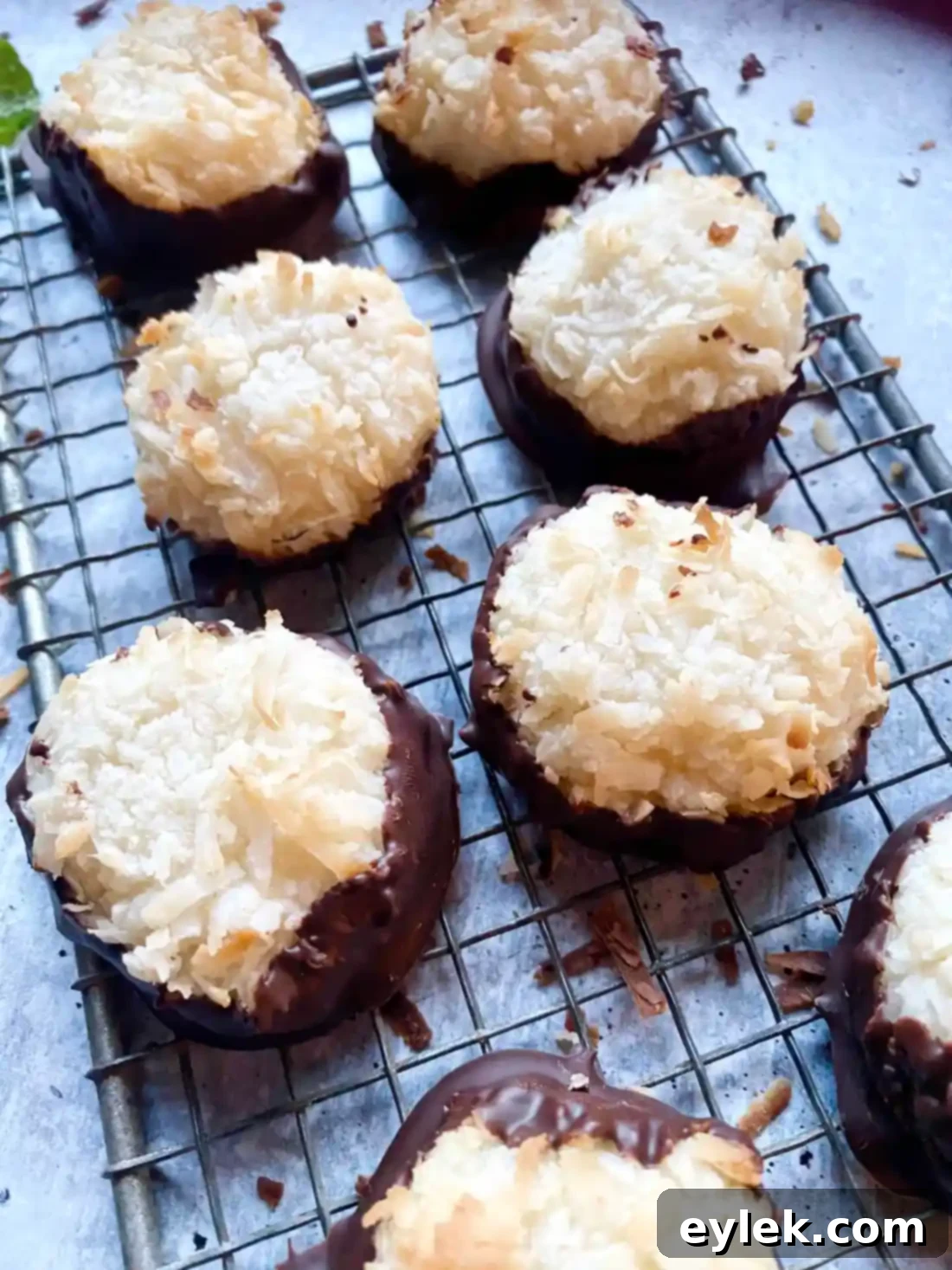 Elsa's Chocolate Dipped Macaroons plated