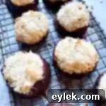 Elsa Chocolate Macaroon Delight 17 Elsa's Chocolate Dipped Macaroons