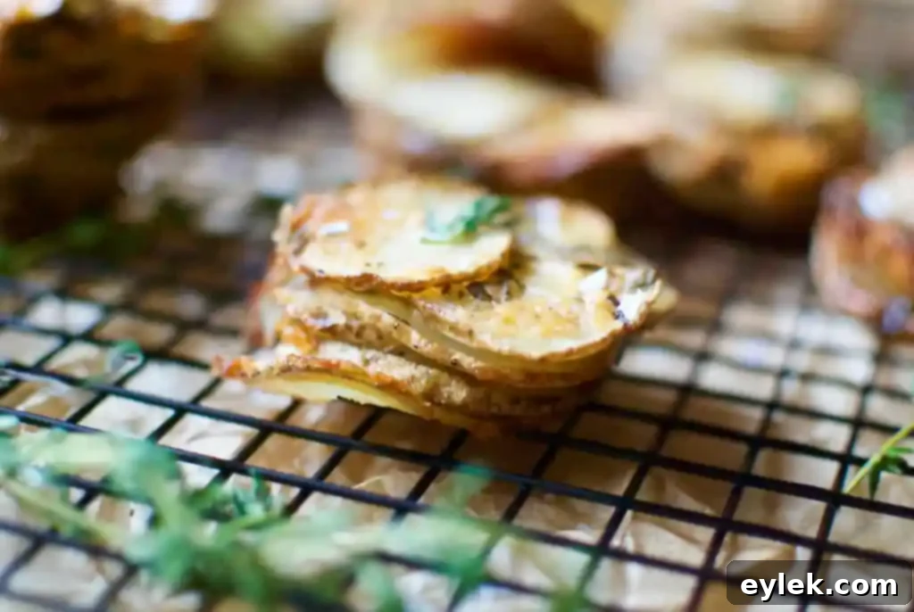 Stacked cheesy potato and herb individual servings, perfect for a gathering.