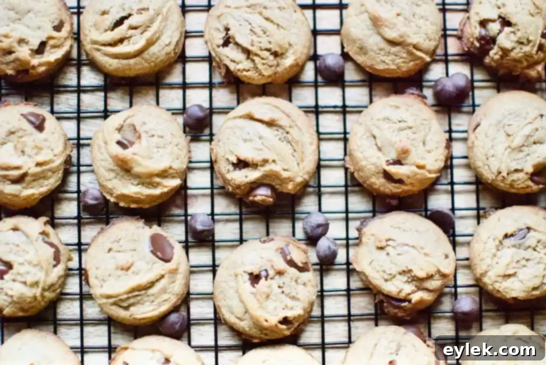 flourless peanut butter chocolate chip cookies