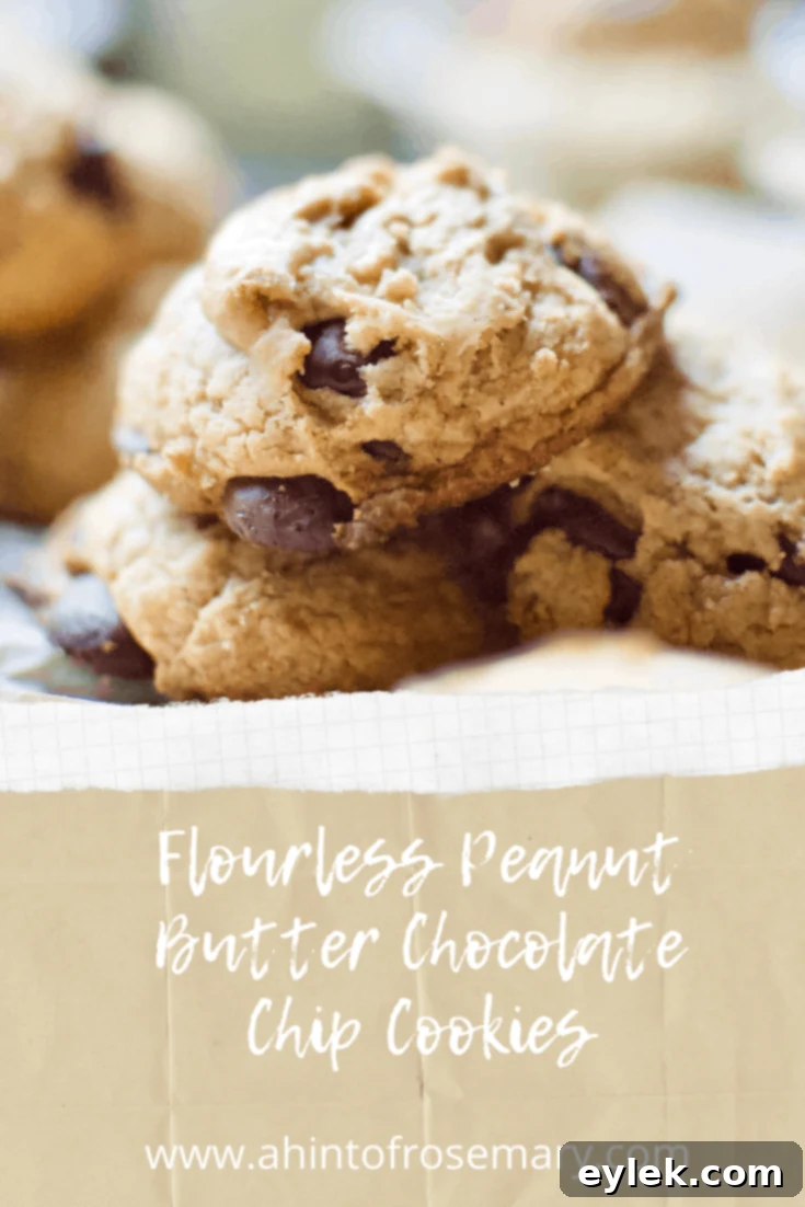 Flourless Peanut Butter Chocolate Chip Cookies
