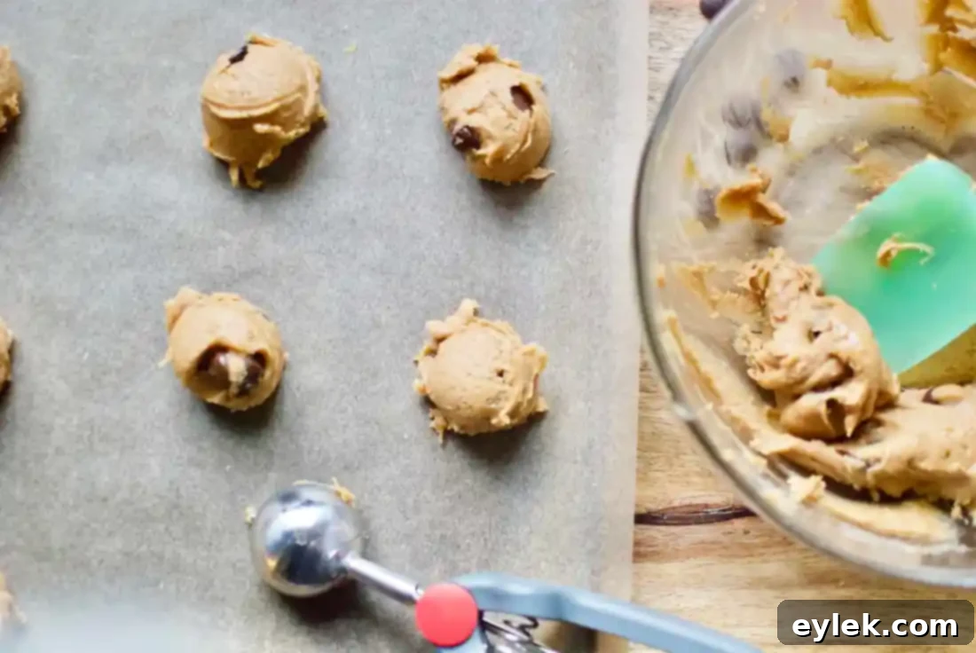 flourless peanut butter chocolate chip cookies