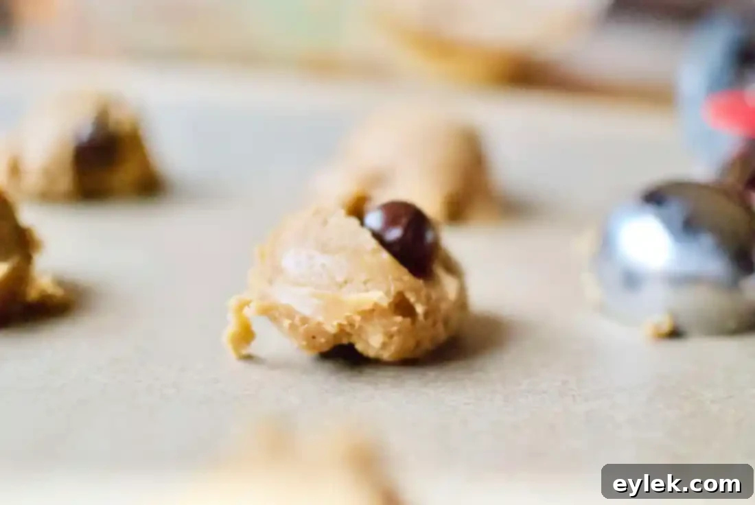 flourless peanut butter chocolate chip cookies