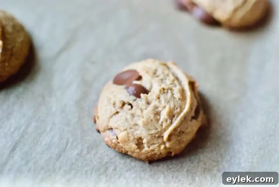 flourless peanut butter chocolate chip cookies
