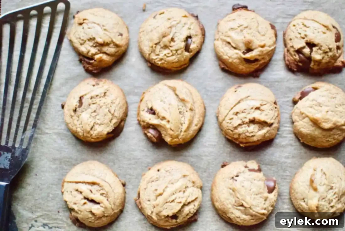 flourless peanut butter chocolate chip cookies