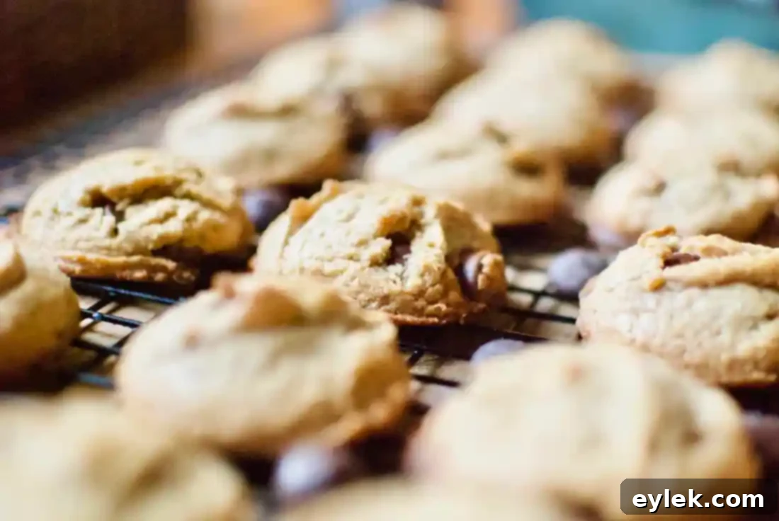 flourless peanut butter chocolate chip cookies