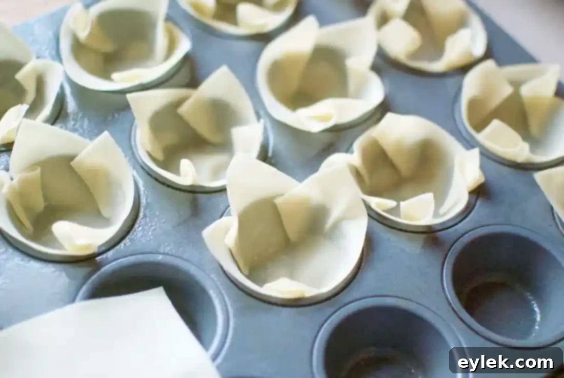Mini Muffin Pan with Wonton Wrappers